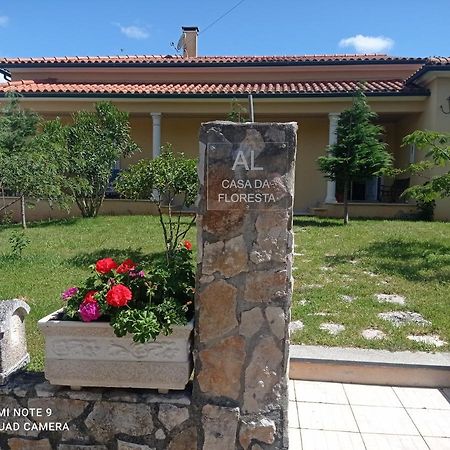 Casa Da Floresta Santiago da Guarda Экстерьер фото