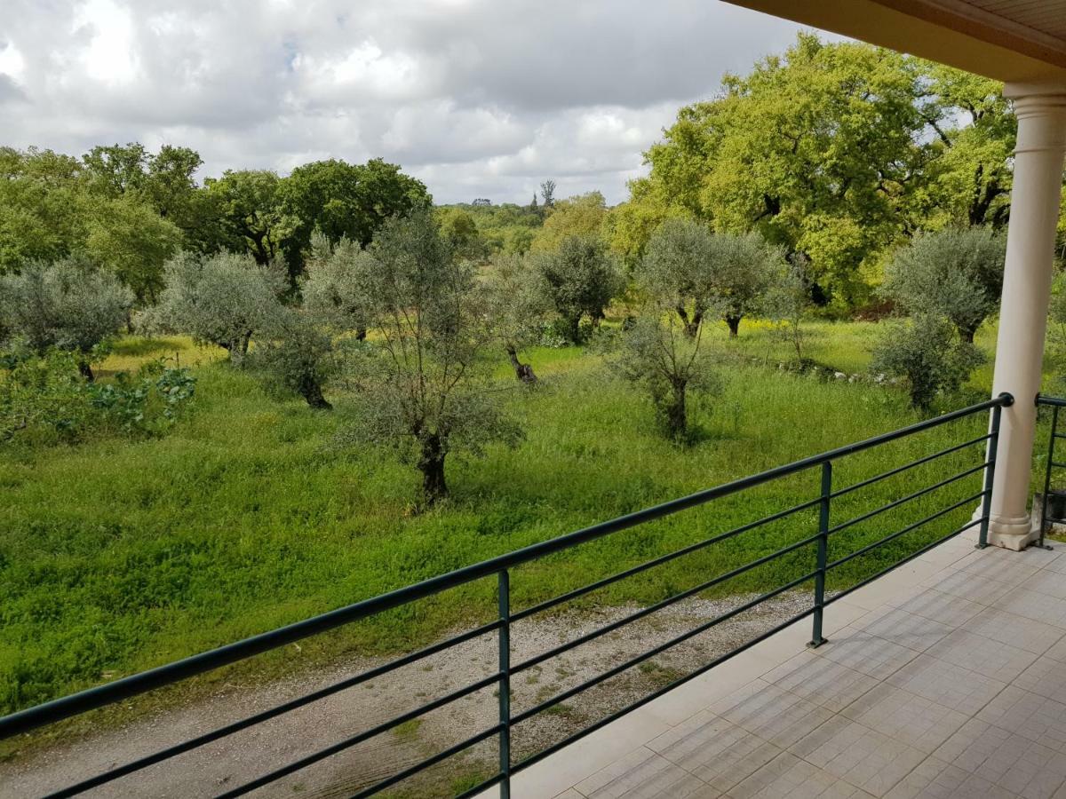 Casa Da Floresta Santiago da Guarda Экстерьер фото